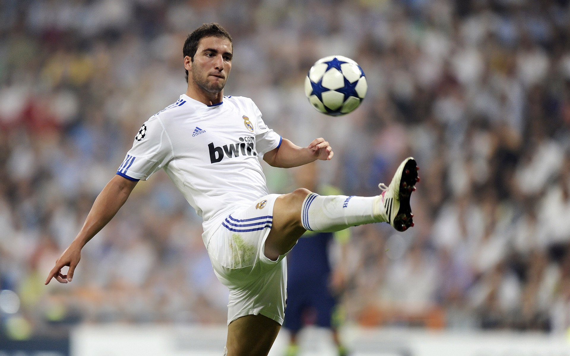 “燃烧的激情”——车迷现场的狂热与激情，激情燃烧啥意思